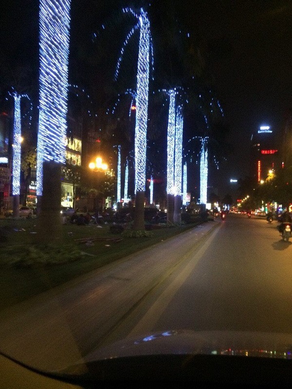 Sử dụng bóng LED đúc F5 quấn cây tại phố Nguyễn Chí Thanh, Liễu Giai Hà Nội 2016